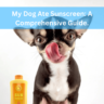 My Dog Ate Sunscreen: A Comprehensive Guide.