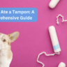 My Dog Ate a Tampon: A Comprehensive Guide