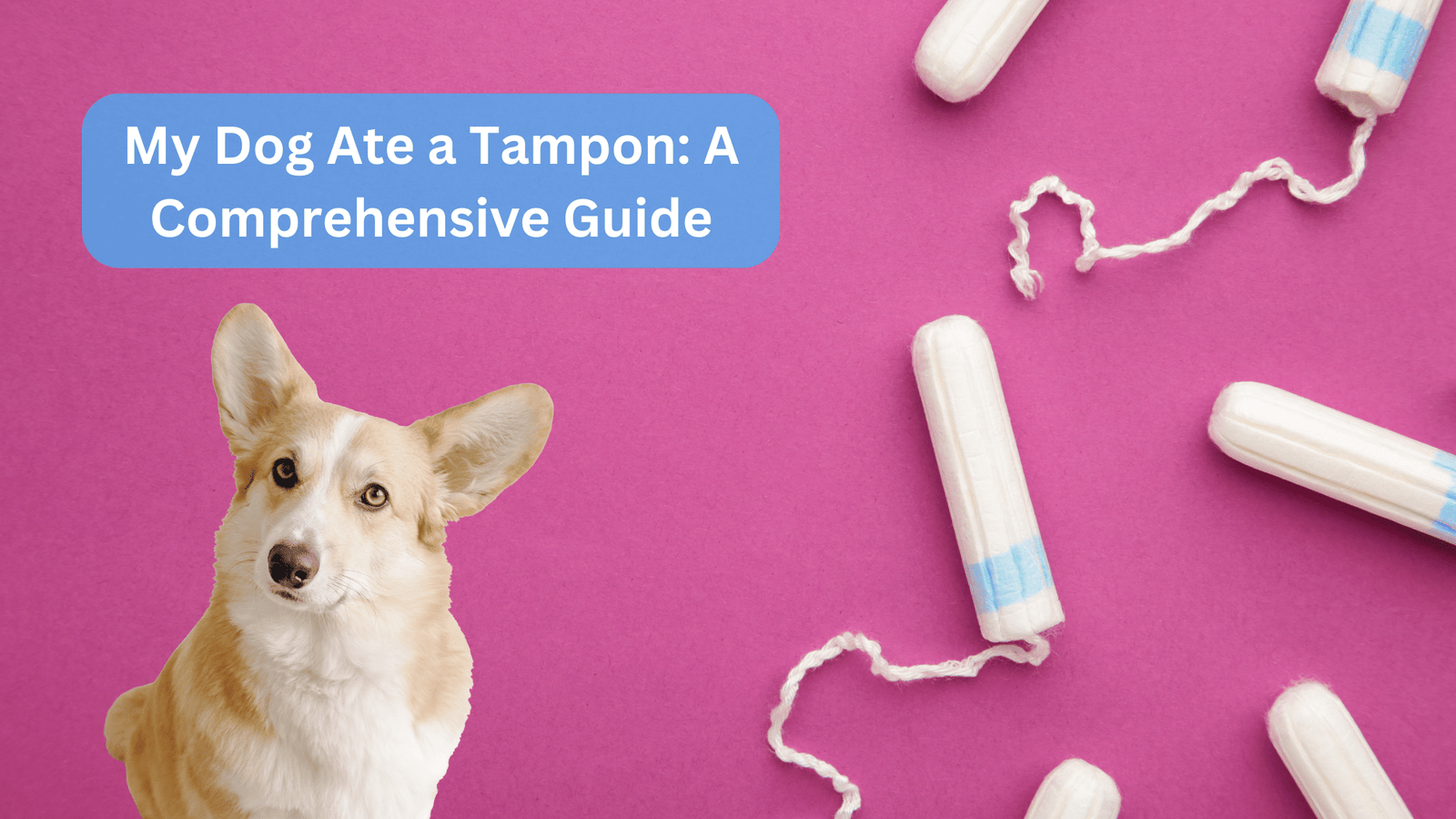 My Dog Ate a Tampon: A Comprehensive Guide