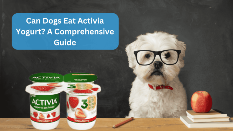 Can Dogs Eat Activia Yogurt? A Comprehensive Guide