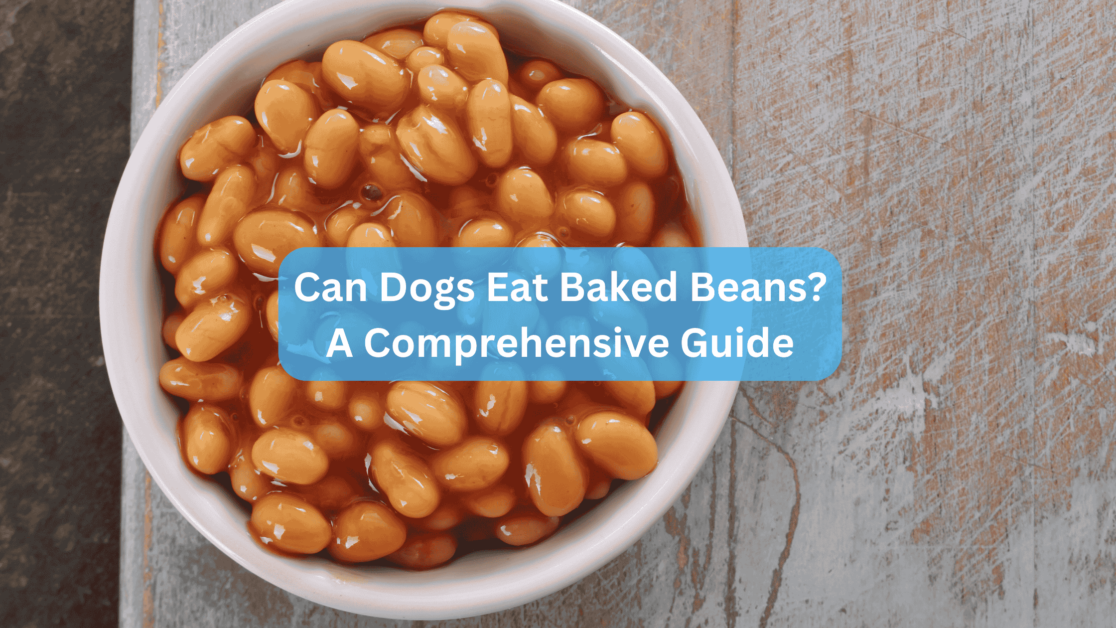 Can Dogs Eat Baked Beans? A Comprehensive Guide