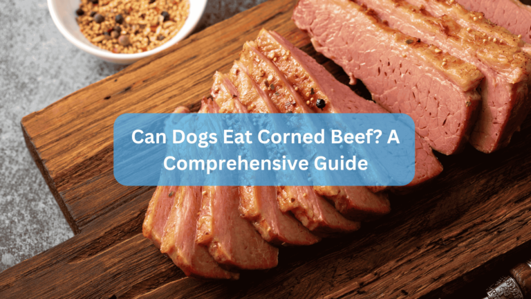 Can Dogs Eat Corned Beef? A Comprehensive Guide