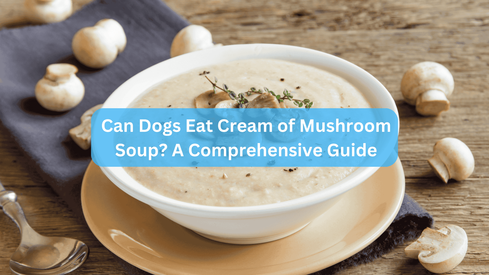 Can Dogs Eat Cream of Mushroom Soup? A Comprehensive Guide