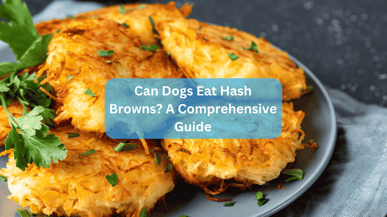 Can Dogs Eat Hash Browns? A Comprehensive Guide