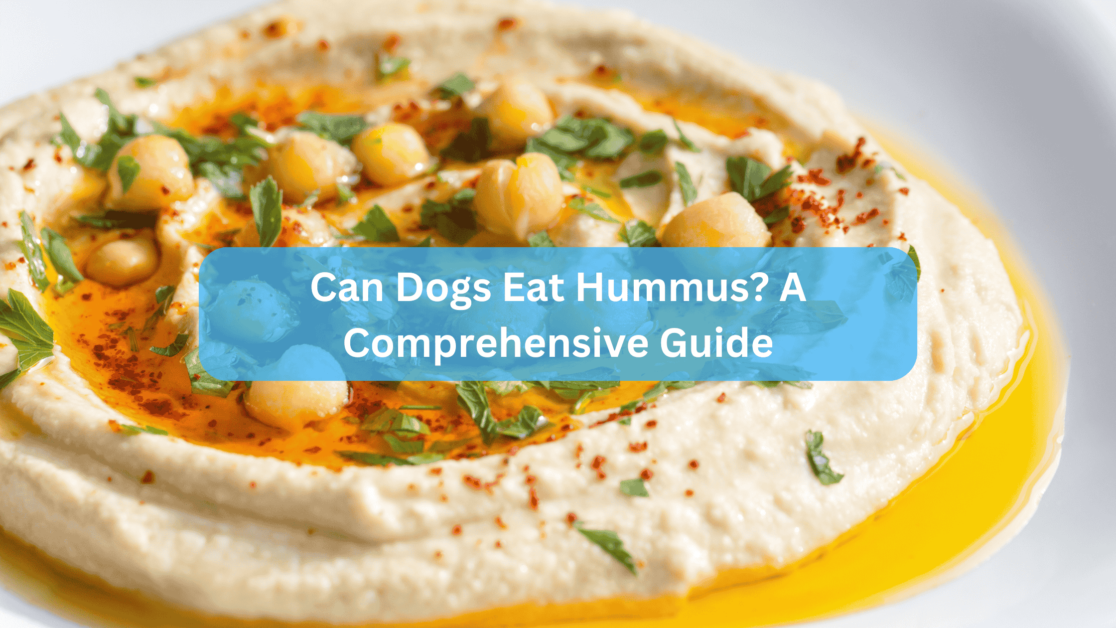 Can Dogs Eat Hummus? A Comprehensive Guide