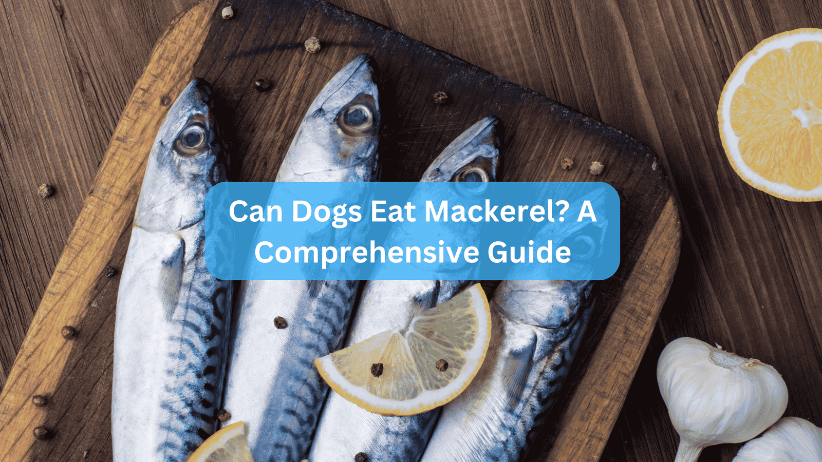 Can Dogs Eat Mackerel? A Comprehensive Guide