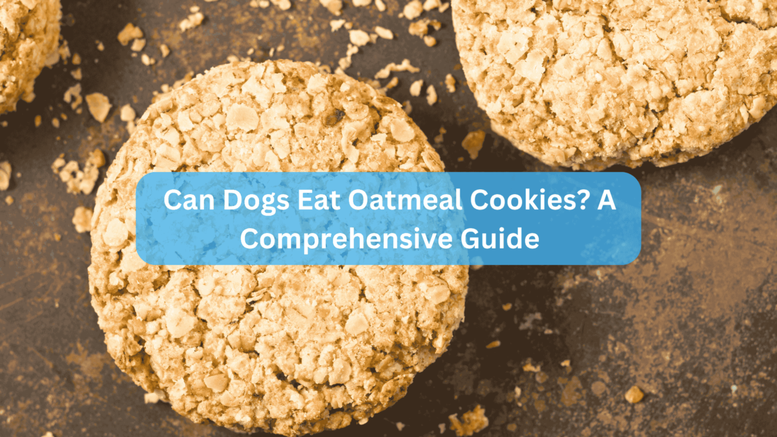 Can Dogs Eat Oatmeal Cookies A Comprehensive Guide