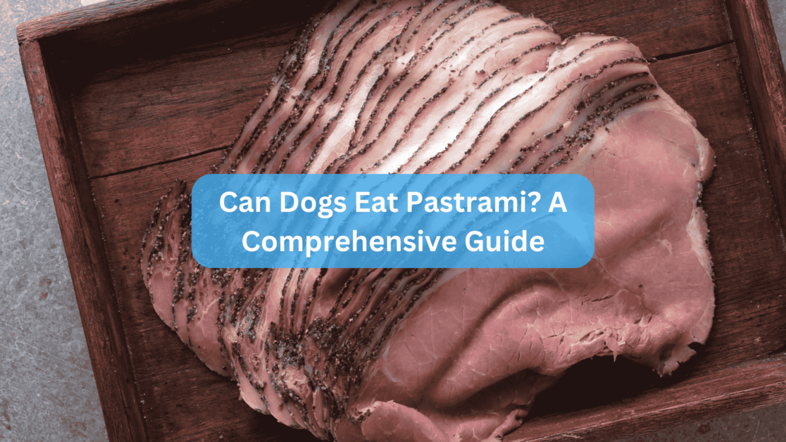 Can Dogs Eat Pastrami? A Comprehensive Guide