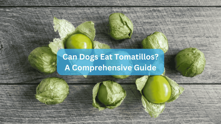 Can Dogs Eat Tomatillos? A Comprehensive Guide