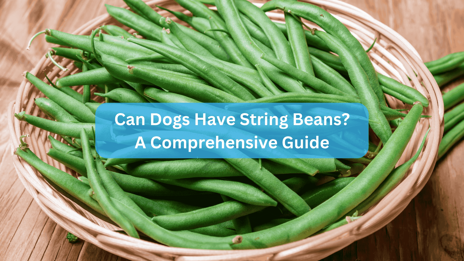 Can Dogs Have String Beans? A Comprehensive Guide