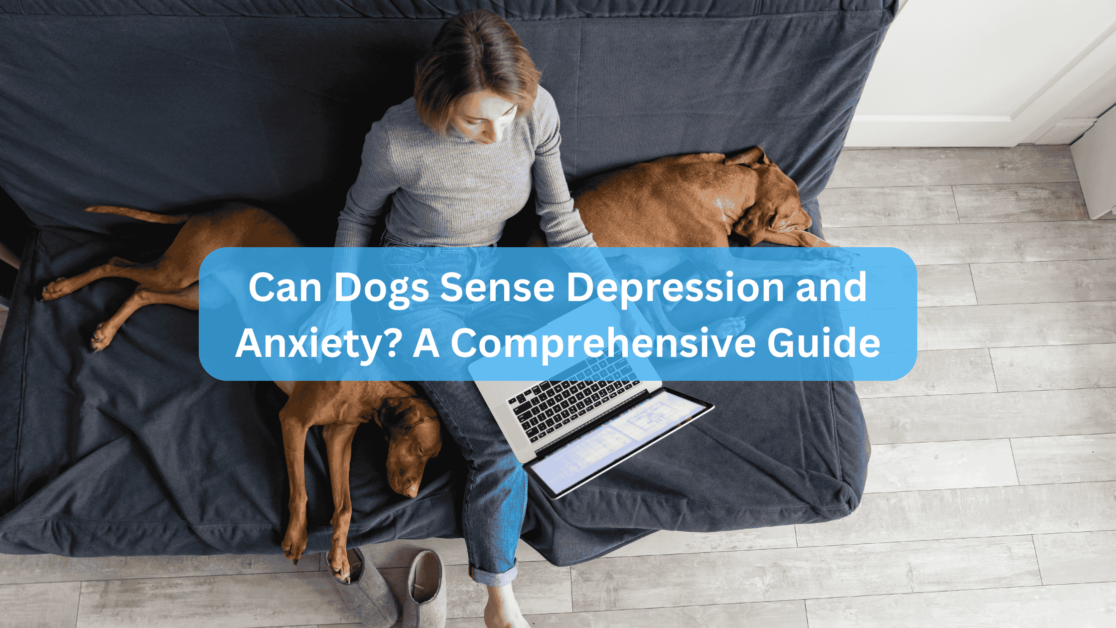 Can Dogs Sense Depression and Anxiety? A Comprehensive Guide