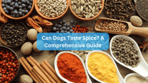 Can Dogs Taste Spice? A Comprehensive Guide