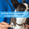 Do Dogs Have an Appendix? A Comprehensive Guide