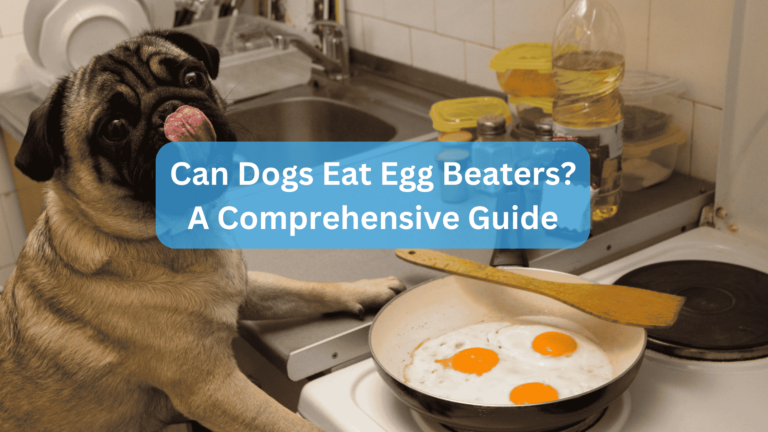 Can Dogs Eat Egg Beaters? A Comprehensive Guide