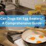 Can Dogs Eat Egg Beaters? A Comprehensive Guide