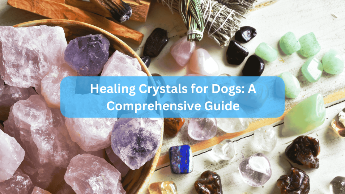 Healing Crystals for Dogs: A Comprehensive Guide