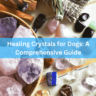 Healing Crystals for Dogs: A Comprehensive Guide