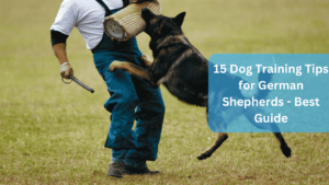 15 Dog Training Tips for German Shepherds - Best Guide