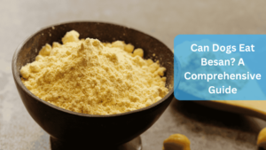 Can Dogs Eat Besan? A Comprehensive Guide. Besan Flour