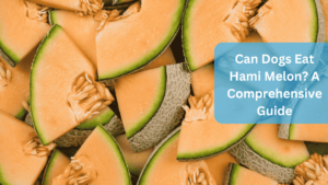 Can Dogs Eat Hami Melon? A Comprehensive Guide