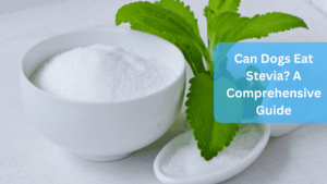 Can Dogs Eat Stevia? A Comprehensive Guide