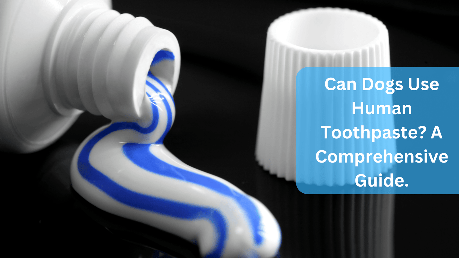 Can Dogs Use Human Toothpaste? A Comprehensive Guide.