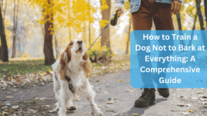 How to Train a Dog Not to Bark at Everything: A Comprehensive Guide