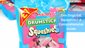 Can Dogs Eat Squashies? A Comprehensive Guide - Squashies