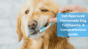 Vet-Approved Homemade Dog Toothpaste: A Comprehensive Guide.