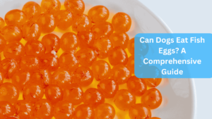 fish eggs -Can Dogs Eat Fish Eggs? A Comprehensive Guide