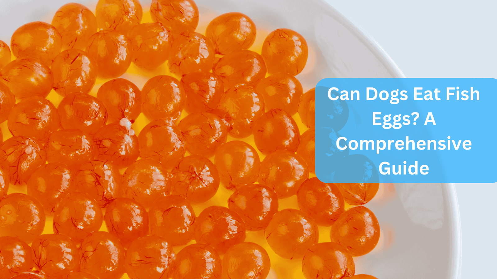 fish eggs -Can Dogs Eat Fish Eggs? A Comprehensive Guide