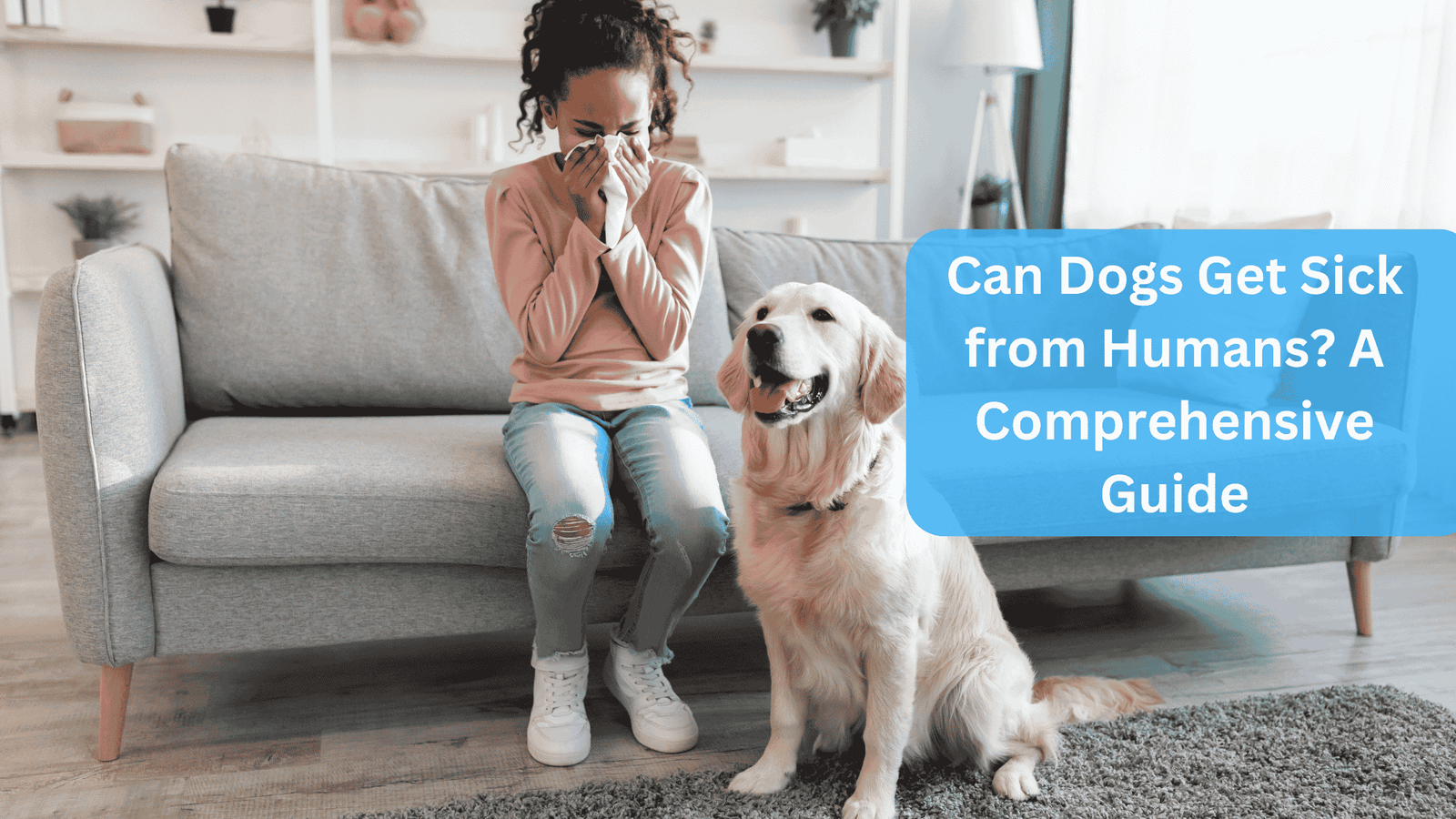 a woman sneezing on a couch with her dog - Can Dogs Get Sick from Humans? A Comprehensive Guide