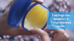 Can Dogs Use Vaseline? A Comprehensive Guide