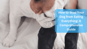 How to Stop Your Dog from Eating Everything: A Comprehensive Guide