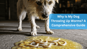 a dog looking at a worm on a piece of food - Why Is My Dog Throwing Up Worms? A Comprehensive Guide