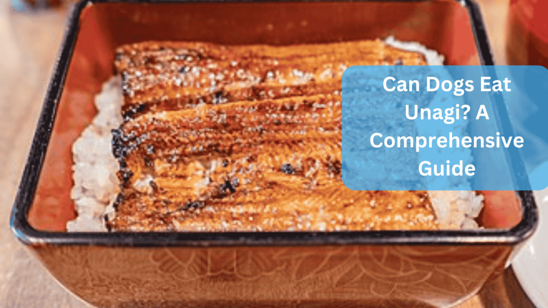 Unagi - Can Dogs Eat Unagi? A Comprehensive Guide