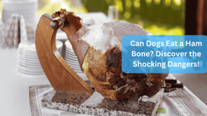 a cooked ham on a marbled surface - Can Dogs Eat a Ham Bone? Discover the Shocking Dangers!